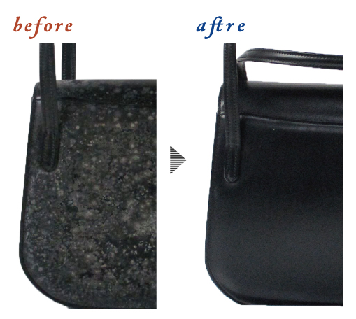 バッグのカビ除去 | ザ・レザードクターズ